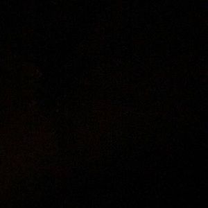 Meet your Posher, Edith